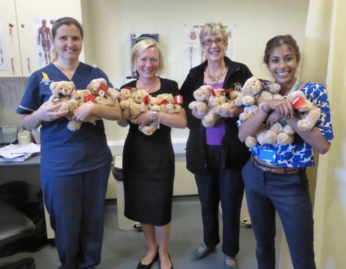 Teddies for Estuary View